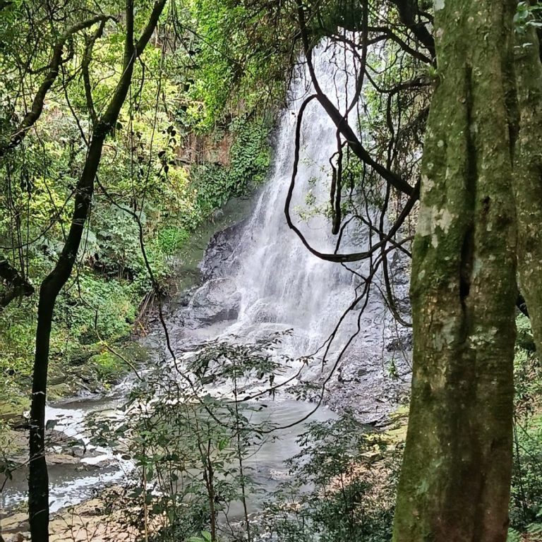 Foto real de Cascata dos Narcisos