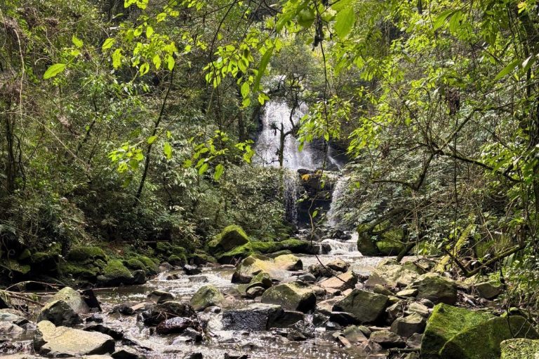 Foto real de Cascata dos Narcisos