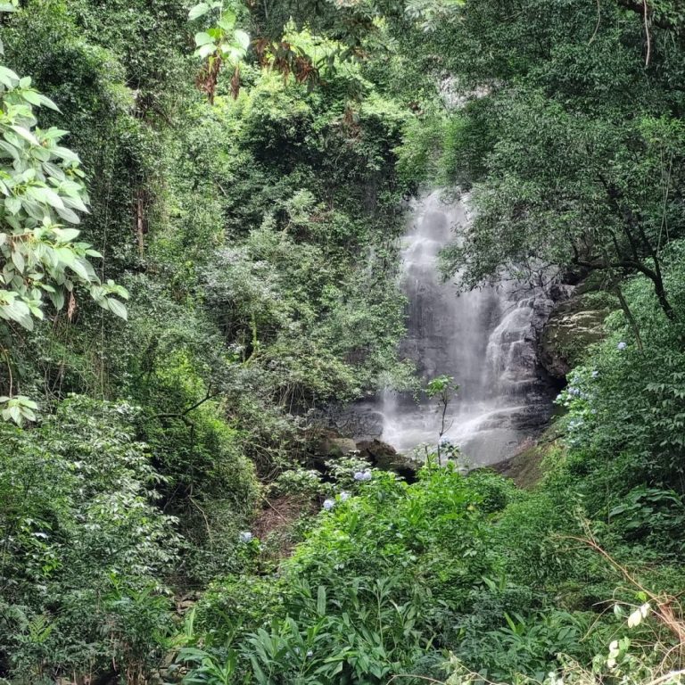 Foto real de Cascata Véu de Noiva