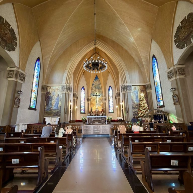 Foto real de Catedral de Pedra - Paróquia Nossa Senhora de Lourdes