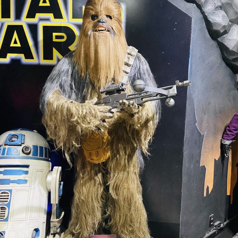 Foto real de Dreamland | Museu de Cera