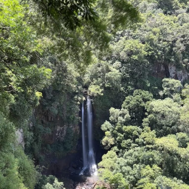 Foto real de Ecoparque Sperry