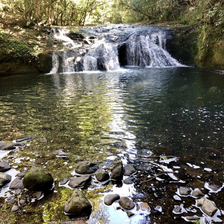 Foto real de Ecoparque Sperry