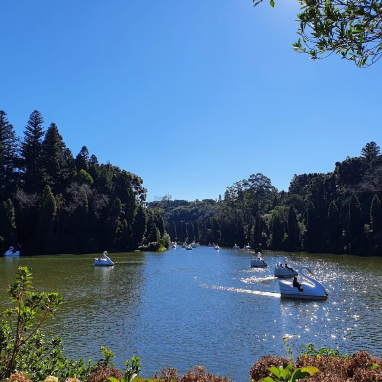 Foto real de Lago Negro