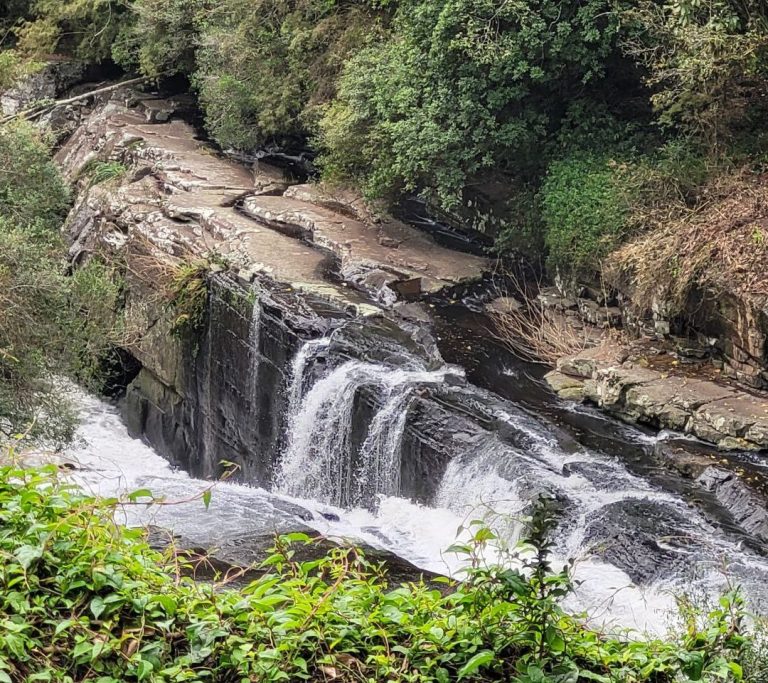 Foto real de Parque do Caracol