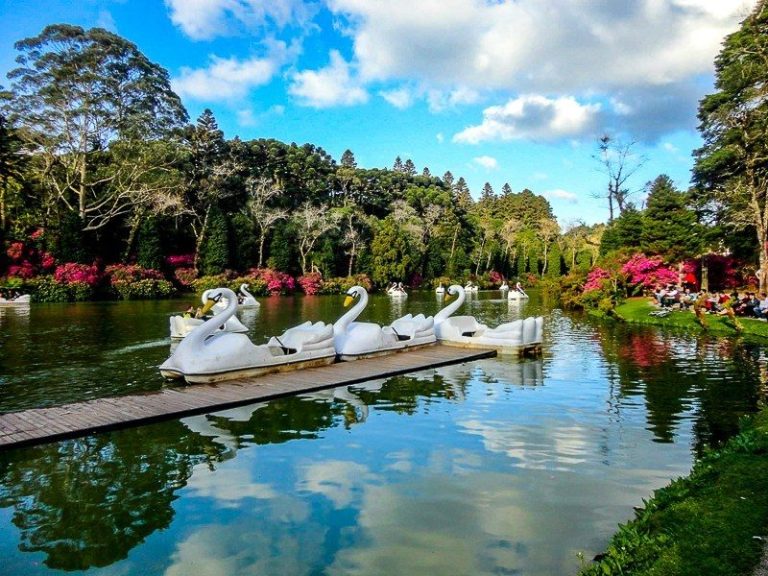 Foto real de Pedalinho Cisne do Lago Negro
