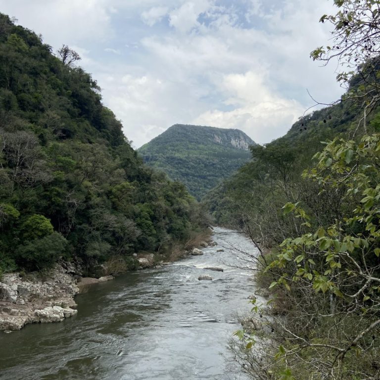 Foto real de Ponte do Raposo