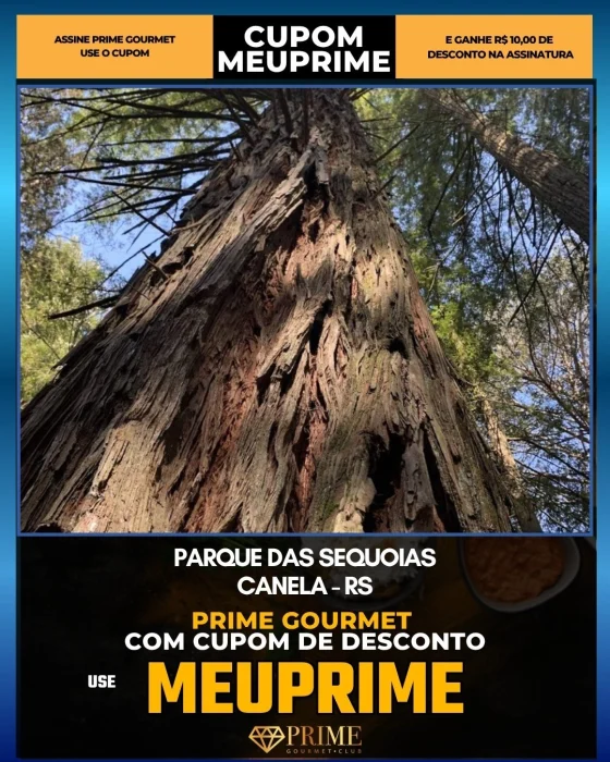 Parque das Sequoias em Canela, RS - cupom Prime Gourmet MEUPRIME com R$10 de desconto