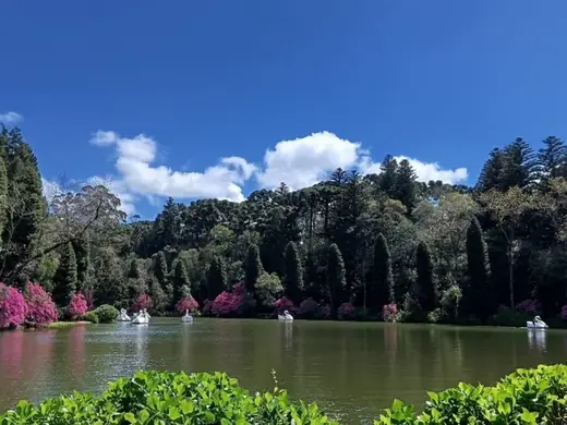 Lago Negro, Gramado